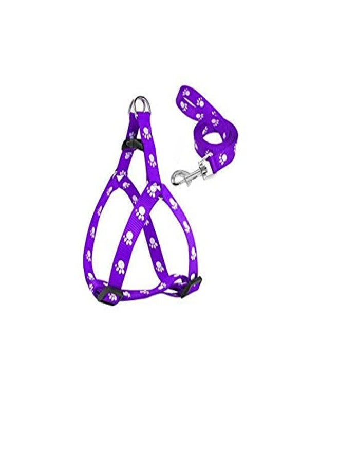 Pups&Pets Pet Combo Puppy Paw Print Harness Leash Set for Small Dog and Puppies (Purple) - Image 1